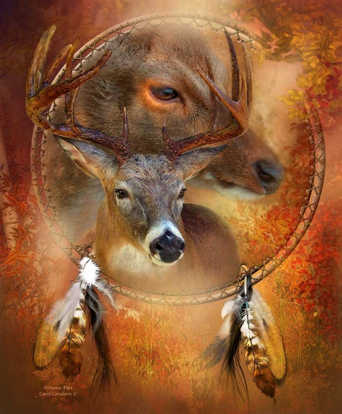 The Power of Animal Spirits