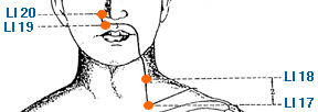 li_meridian_17-20[1]