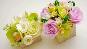Product: Spring and Summer Packages